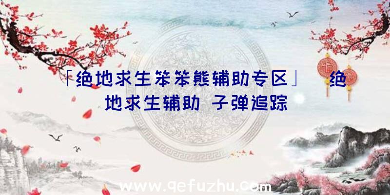 「绝地求生笨笨熊辅助专区」|绝地求生辅助